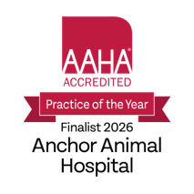 2026 AAHA Practice of the Year Finalist