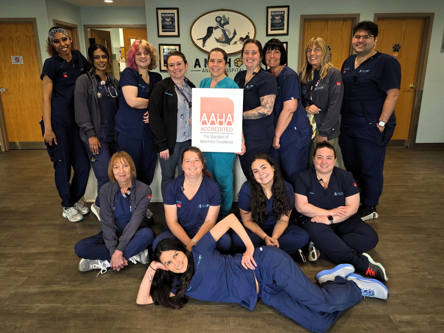 AAHA Accreditation at Anchor Animal Hospital