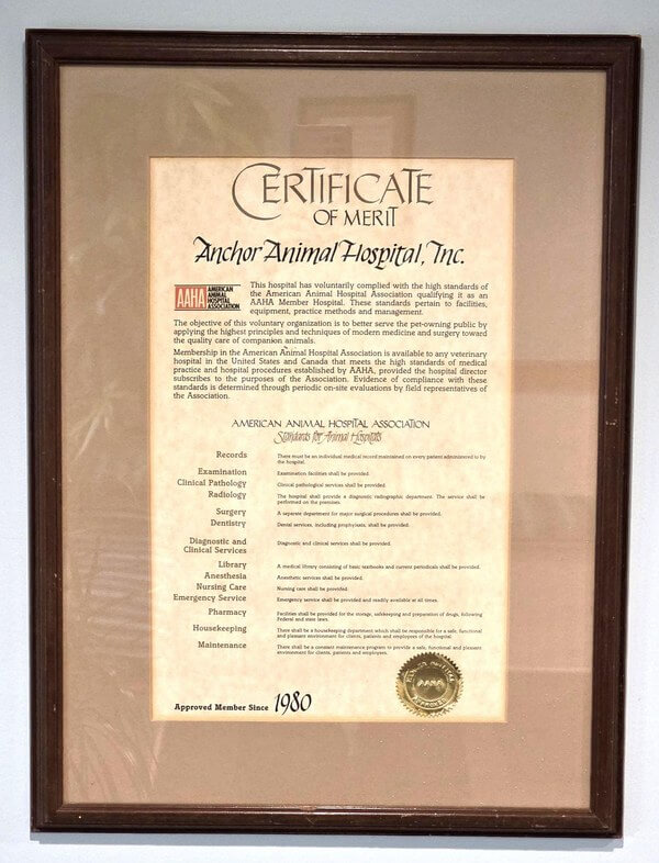More Than 45 Years of AAHA Accreditation